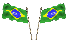 2 bandeiras do Brasil