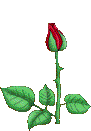 www.gifs-animados.net/flores/flor10.gif