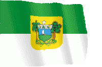 gif bandeira Rio Grande do Norte