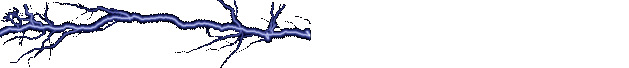 gif de barra