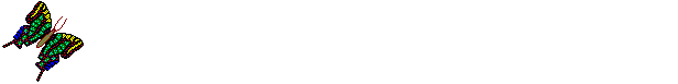 barra81