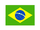bandeira fina Brasil