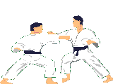 judo