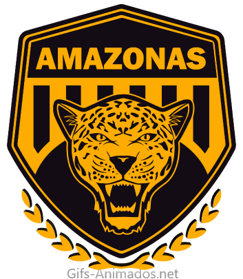 Amazonas Futebol Clube 01