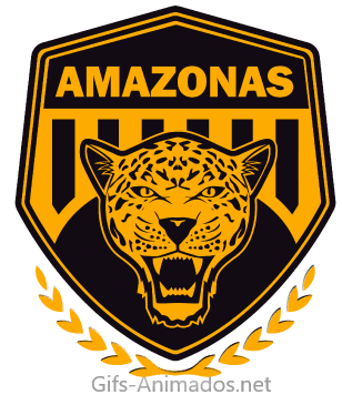 Amazonas Futebol Clube 02