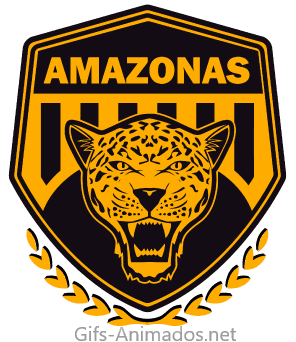 Amazonas Futebol Clube 06