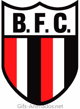 Botafogo Futebol Clube 01
