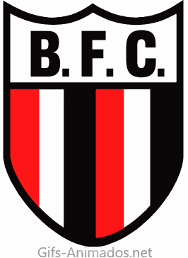 Botafogo Futebol Clube 02
