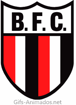 Botafogo Futebol Clube 03