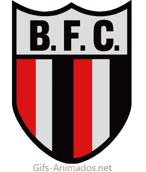 Botafogo Futebol Clube 04