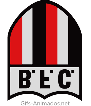 Botafogo Futebol Clube 06