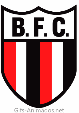 Botafogo Futebol Clube 08