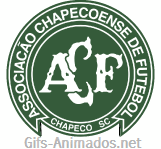 Associação Chapecoense de Futebol 07