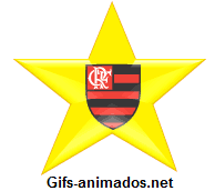 Clube de Regatas do Flamengo 10