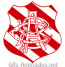Escudo 3D Bangu animado 03