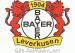 Gif animado do escudo do Bayer 04 Leverkusen em 3D 06