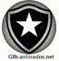 Escudo 3D Botafogo animado 11