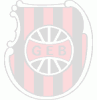 Escudo 3D G. E. Brasil animado 02