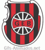 Escudo 3D G. E. Brasil animado 03