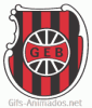 Escudo 3D G. E. Brasil animado 05