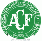 Escudo 3D Chapecoense animado 01