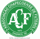 Escudo 3D Chapecoense animado 04