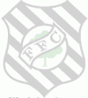 Escudo 3D Figueirense animado 02