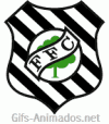 Escudo 3D Figueirense animado 04