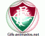 Escudo 3D Fluminense animado 11