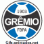 gremio 04