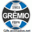 Grêmio 08
