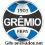 gremio 08