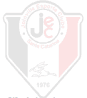 Escudo 3D Joinville animado 07