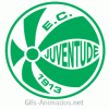 Escudo 3D Juventude animado 02