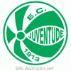 Escudo 3D Juventude animado 06