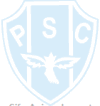 Escudo 3D Paysandu animado 04