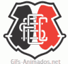 Escudo 3D Santa Cruz animado 02