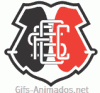 Escudo 3D Santa Cruz animado 03