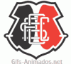 Escudo 3D Santa Cruz animado 05