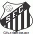 Escudo 3D Santos animado 05