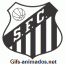 Escudo 3D Santos animado 06