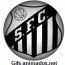 Escudo 3D Santos animado 09