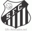 Escudo 3D Santos animado 11