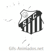 Santos Futebol Clube 13
