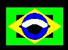 bandeira wireframe do brasil